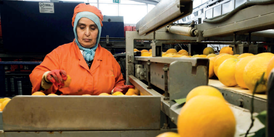 Exportations agricoles : préserver l’élan, affronter la norme